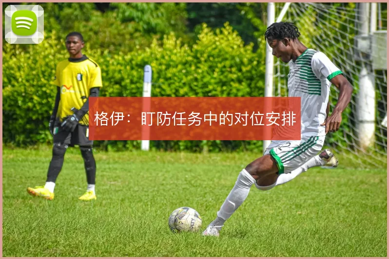 格伊:盯防任务中的对位安排