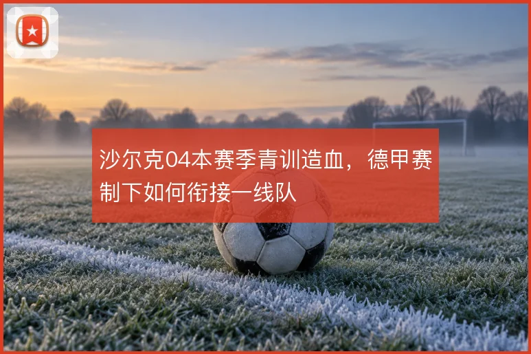 沙尔克04本赛季青训造血,德甲赛制下如何衔接一线队