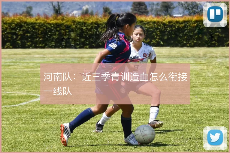 河南队:近三季青训造血怎么衔接一线队