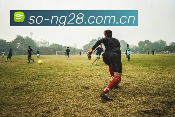 NG28品牌故事